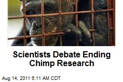 Scientists Debate Ending Chimp Research