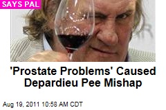 Gerard Depardieu Peeing-on-Plane Incident Caused by 'Prostate Problems,' Says Pal