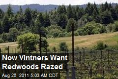Now Vintners Want Redwoods Razed
