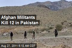 Afghan Militants Kill 12 in Pakistan