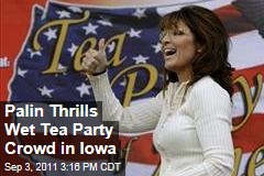 Palin Backs Republican Slate at Tea Party Rally in Des Moines, Iowa