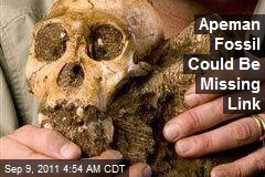 Apeman Fossil May Be Missing Link