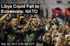 Libya Could Fall to Extremists: NATO