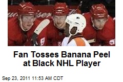 Fan Tosses Banana Peel at Black NHL Player