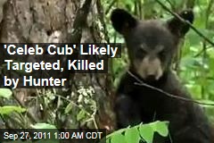 Celebrity Black Bear 'Hope' May Have Been Killed by Hunter