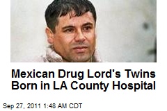 Mexican Drug Lord&#39;s Twins Born in LA County Hospital