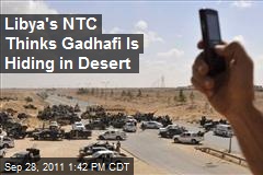 Libya&#39;s NTC Thinks Gadhafi Is Hiding in Desert