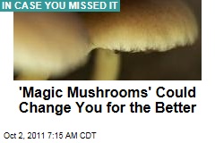 'Magic Mushrooms' Alter Long-Term Personality: Study