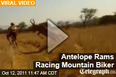 VIDEO: Antelope Slams Into Racing Mountain Biker