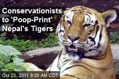 Conservationists to &#39;Poop-Print&#39; Nepal&#39;s Tigers