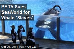 PETA Sues SeaWorld for Whale &#39;Slaves&#39;