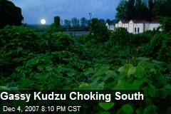Gassy Kudzu Choking South