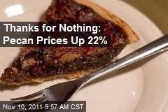 Thanks for Nothing: Pecan Prices Up 22%