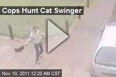 Cops Hunt Cat Swinger