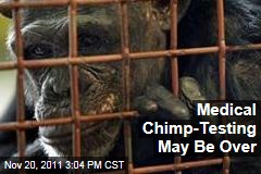 Medical Testing of Chimpanzees and Other Apes May Be Over