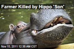 South African Farmer Marius Els Killed by Pet Hippo
