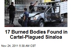 17 Burned Bodies Found in Cartel-Plagued Sinaloa