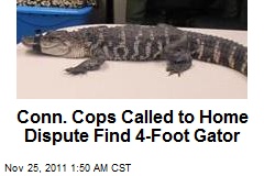 Conn. Cops Called to Home Dispute Find 4-Foot Gator