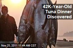 Ancient Tuna Dinner Discovered in East Timor