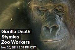 Zoo Workers Stymied by Gorilla Death at Lincoln Park Zoo