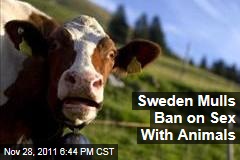 Swedish Lawmakers Consider Ban on Sex With Animals