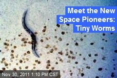 Meet the New Space Pioneers: Tiny Worms