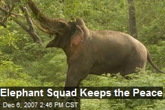 Elephant Squad Keeps the Peace