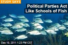Democrats and Republicans Behave Like Schools of Fish