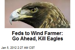 Feds to Wind Farmer: Go Ahead, Kill Eagles
