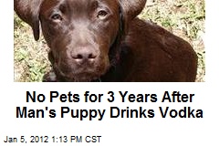 No Pets for 3 Years After Man&#39;s Puppy Drinks Vodka