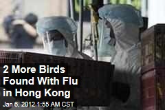 2 More Birds Had H5N1 Flu in Hong Kong