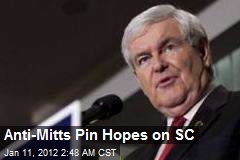 Anti-Mitts Pin Hopes on SC