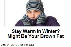 Stay Warm in Winter? Might Be Your Brown Fat