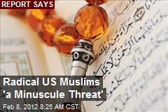 Radical US Muslims &#39;a Minuscule Threat&#39;