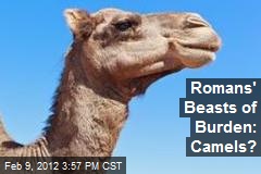 Romans&#39; Beasts of Burden: Camels?