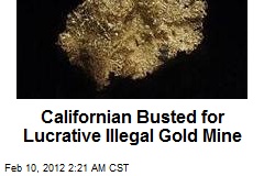 Californian Busted for Lucrative Ilegal Gold Mine