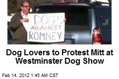 Dogs Against Romney Form &#39;Super Pack&#39;
