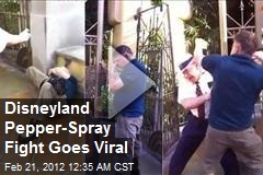 Disneyland Pepper-Spray Fight Goes Viral