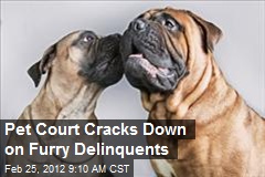 Pet Court Cracks Down on Furry Delinquents