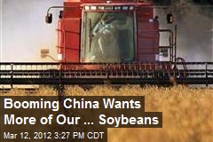 Booming China Wants More of Our ... Soybeans