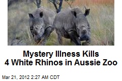 Mystery Illness Kills 4 Rhinos in Aussie Zoo