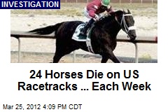 24 Horses Die on US Racetracks ... Each Week