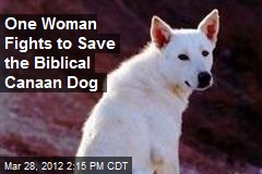 One Woman Fights to Save the Biblical Canaan Dog