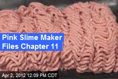 Pink Slime Maker Files Chapter 11