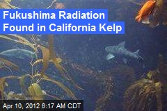 Fukushima Radiation Found in Calif. Kelp
