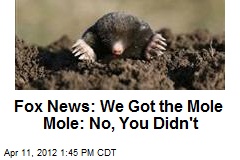 Fox News: We&#39;ve Found Gawker&#39;s Mole