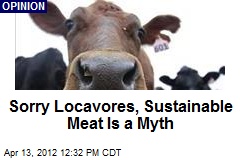 Sorry Locavores, Sustainable Meat Is a Myth