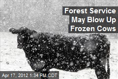 Forest Service May Blow Up Frozen Cows