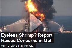Eyeless Shrimp? Report Raises Concerns in Gulf