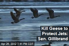 Kill Geese to Protect Jets: Sen. Gillibrand